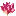 Index Page, Spiritual Awakening Network