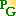 PRANIC GARDENS - Home