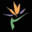 National Zoological Garden, Pretoria – SANBI