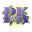 Progressive Kinesiology UK | Kinesiology Training school | Colchester CO2 0JY, UK