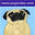 Pug Art and Gifts - Unique Pug Products for Pug Lovers