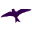 Home :: Purple Martin Association of the Dakotas