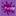 Purple Patch Running : London 10k, Half Marathon, Marathon | Running Events Specialists