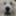 Euzkalzale Great Pyrenees - Pyrpacker