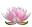 Counselling and Psychotherapy | SW14 London & Online