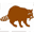 Raccoons in the Attic - Guide To Humane Raccoon Removal
