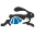 Online Race Registration Software - Free Race Maps & Marathon Reviews