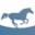 Rainbow Equine | Expert Vets in the Heart of North Yorkshire