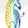 Rainbow Zebra Office Furniture | Free Delivery | Price Match Guarantee