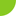 Buy Palm Seeds and Other Rare Seeds at rarepalmseeds.com