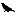 Ravensgard Homepage