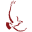 Home - Red Hawk Golf and Resort - Lakes