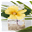Shea Body Butter For Sale - Hawaiian Body Lotions Made in Maui Hawaii