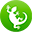 Swell Reptiles - The UK's biggest online reptile specialist