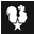 República Trading Co. | Welcome