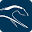 Rossdales Veterinary Surgeons