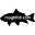www.roughfish.com | roughfish bowfin burbot buffalo gar redhorse suckers carp lifelist native fish