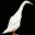 RunnerDuck Eggspress, a great resource for woodworking and craft projects.