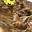 Russian Hair Extensions® | Wefts - Wigs - Toppers