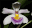 Sacramento Orchid Society