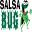 SalsaBug Dance Classes
