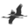 Welcome | Sandhills Global | Gather, Process, Distribute