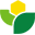 SCD – Saskatchewan College of Dietitians