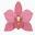Saskatchewan Orchid Society