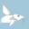 Catfish: Your internet guide to all things Catfish