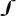 ScripterNet :: Culture to code