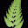 Apache HTTP Server Test Page powered by CentOS