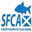 www.sfca.co.uk