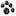 Shih Tzu puppies | Florida Shih Tzu puppies | Tian MI Shih Tzu