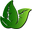 Artificial Silk Plants, Trees, Palms, Boxwood Hedges in Canada – Silk Plants Canada