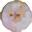 Silverdance Persians - smoke persians, solid persians, cameo persians, CFA & TICA cattery
