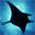 Diving Similan Islands|Similan Liveaboard| Similan Diving Safaris