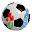 Skagit Valley Soccer Referee's Association