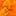 Slaney Flowers Wexford | Flower Delivery Wexford | Florist Wexford