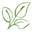 Summit Natural Wellness Center | Naturopathic Clinic