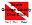 South Orange County Dive Club, Laguna Beach SCUBA Diving, Southern California Scuba Diving, SOCDC