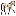 Sooner Appaloosa Horse Club :: Home Page ::