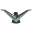 Forums - Squarebirds, Rocketbirds, and Fifties/Sixties Ford Discussion Forum