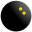 Squash.it - Il Portale dello Squash :: Homepage