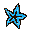 Starfish: Photos of fishes, invertebrates (molluscs, crustaceans, echinoderms, worms, corals, sponges, jellyfish and more), reptiles, rays and sharks. Start your dive into the coral reef!