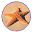 Starfish Foundation | Emotional Healing | Milwaukee WI