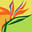 Florist Melbourne CBD, Flower Delivery Melbourne, Fresh Flowers Online
