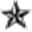 Starr.Net