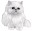St Francis Persian Rescue