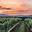 Stinson Vineyards Tasting Room and Bed & Breakfast | Best Wineries | Inns | Charlottesville Virginia