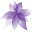 Orchid Mall | Home and Garden - Orchids and other plants